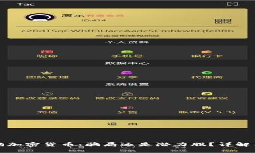 泰迪狗加密货币：骗局还是潜力股？详解与分析