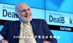 BUSD虚拟币下载及使用指南