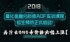 为什么BNB币价格大幅上涨？
