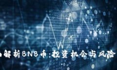 全面解析BNB币：投资机会与风险分析
