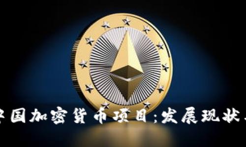深入探索中国加密货币项目：发展现状与未来趋势