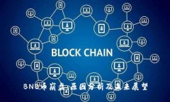 BNB币崩盘：原因分析及未来展望