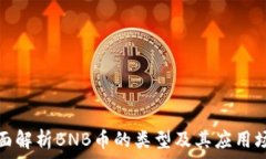   全面解析BNB币的类型及其应用场景